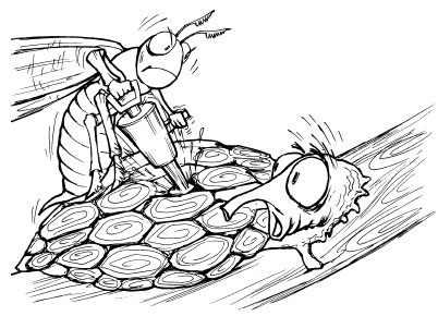 Иллюстрация к книге — Как избавиться от вредителей и болезней, не навредив себе [i_039.jpg]