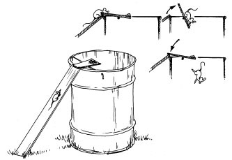 Иллюстрация к книге — Как избавиться от вредителей и болезней, не навредив себе [i_043.jpg]