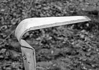 Иллюстрация к книге — Как избавиться от вредителей и болезней, не навредив себе [i_050.jpg]