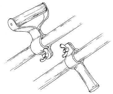 Иллюстрация к книге — Как избавиться от вредителей и болезней, не навредив себе [i_051.jpg]