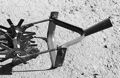 Иллюстрация к книге — Как избавиться от вредителей и болезней, не навредив себе [i_052.jpg]