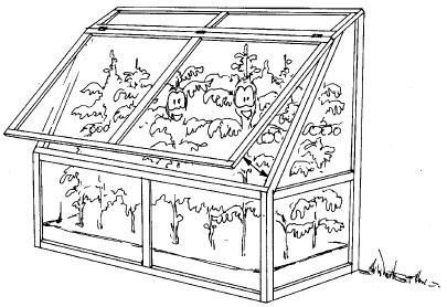 Иллюстрация к книге — Как избавиться от вредителей и болезней, не навредив себе [i_062.jpg]