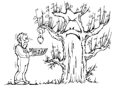 Иллюстрация к книге — Как избавиться от вредителей и болезней, не навредив себе [i_064.jpg]