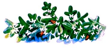 Иллюстрация к книге — Чудеса, да и только [pic_21.jpg]