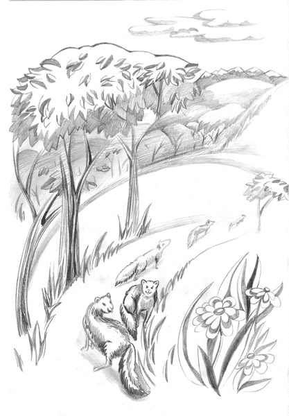 Иллюстрация к книге — Ливергиния [i_003.jpg]