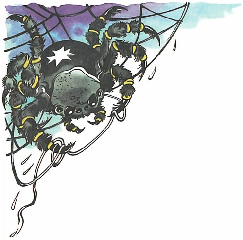 Иллюстрация к книге — Домовёнок Кузька и его сундучок [i_030.jpg]