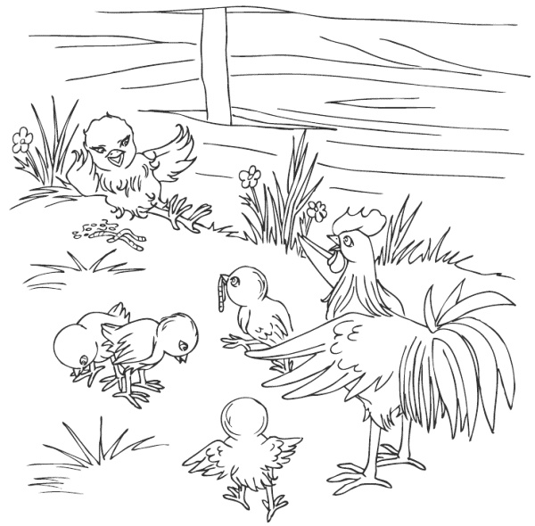 Иллюстрация к книге — Молодка [i_005.jpg]