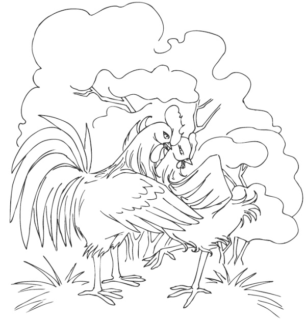 Иллюстрация к книге — Молодка [i_009.jpg]