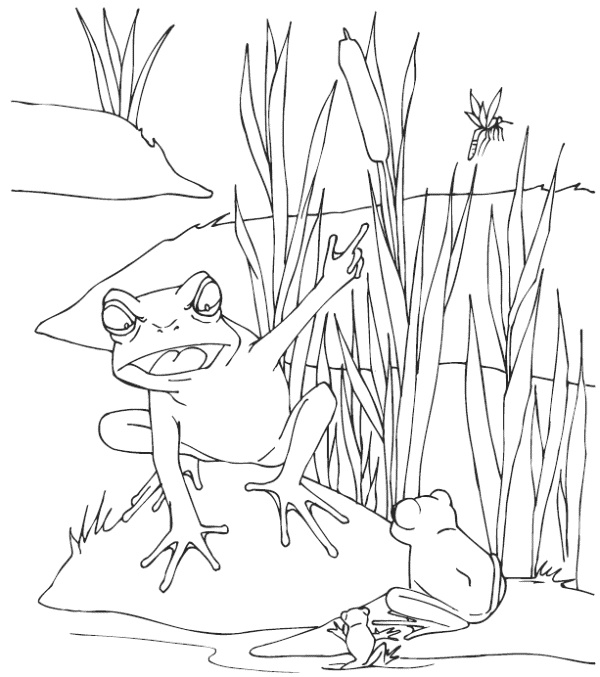 Иллюстрация к книге — Мудрость лягушки [i_003.jpg]