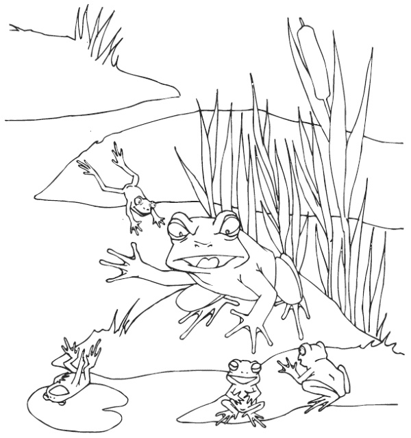 Иллюстрация к книге — Мудрость лягушки [i_005.jpg]