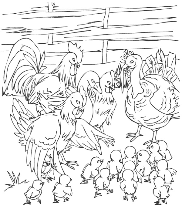 Иллюстрация к книге — Непоседа – наоборот [i_005.jpg]