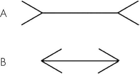 Иллюстрация к книге — Почему мы делаем то, что мы делаем [i_009.jpg]