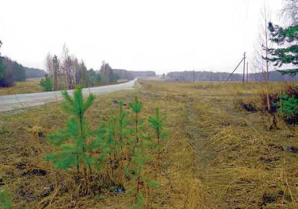 Иллюстрация к книге — С трудом о прошлом, о былом. Очерки о жителях д. Верхние Таволги [i_009.jpg]