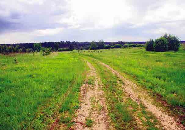 Иллюстрация к книге — С трудом о прошлом, о былом. Очерки о жителях д. Верхние Таволги [i_032.jpg]