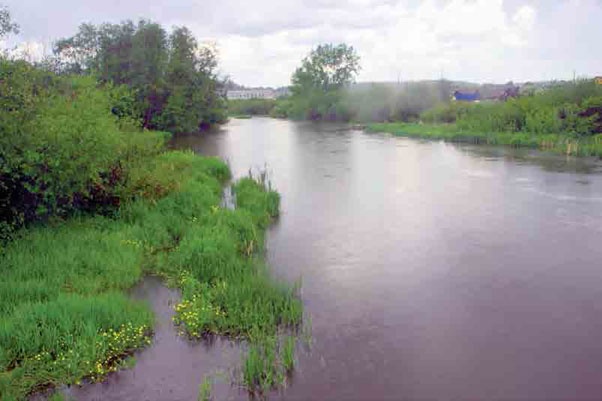 Иллюстрация к книге — С трудом о прошлом, о былом. Очерки о жителях д. Верхние Таволги [i_033.jpg]