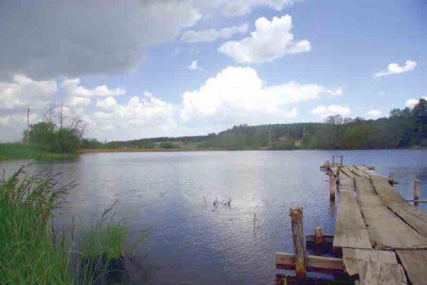 Иллюстрация к книге — С трудом о прошлом, о былом. Очерки о жителях д. Верхние Таволги [i_034.jpg]