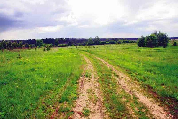 Иллюстрация к книге — С трудом о прошлом, о былом. Очерки о жителях д. Верхние Таволги [i_054.jpg]