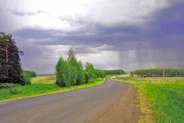 Иллюстрация к книге — С трудом о прошлом, о былом. Очерки о жителях д. Верхние Таволги [i_205.jpg]