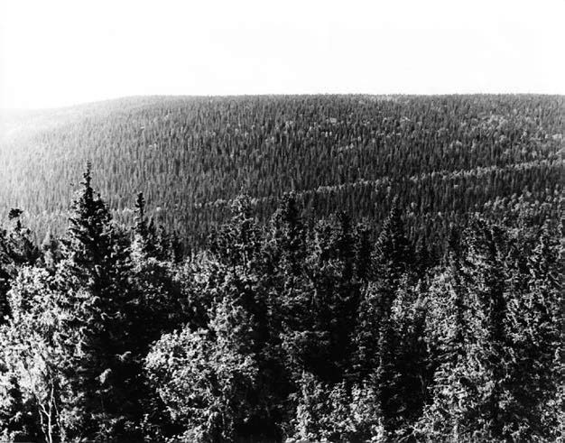 Иллюстрация к книге — В глуши таёжной (сборник) [i_003.jpg]