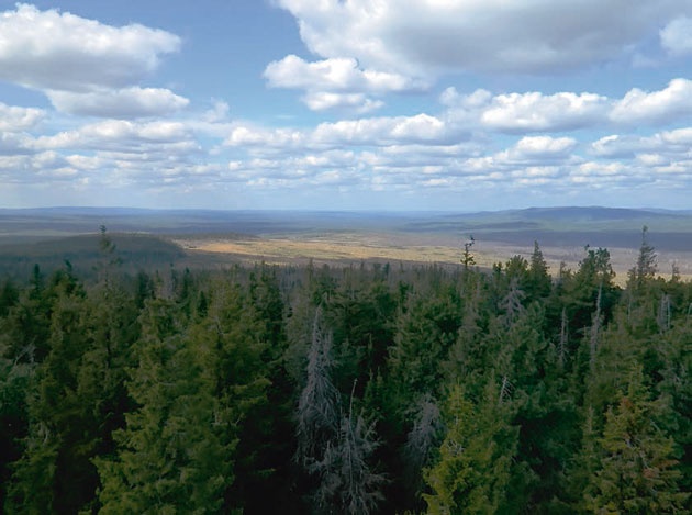 Иллюстрация к книге — В глуши таёжной (сборник) [i_011.jpg]