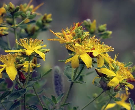 Иллюстрация к книге — В глуши таёжной (сборник) [i_080.jpg]