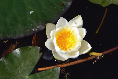 Иллюстрация к книге — В глуши таёжной (сборник) [i_084.jpg]