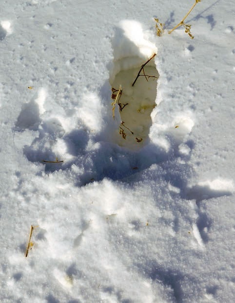 Иллюстрация к книге — В глуши таёжной (сборник) [i_106.jpg]