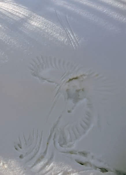 Иллюстрация к книге — В глуши таёжной (сборник) [i_111.jpg]