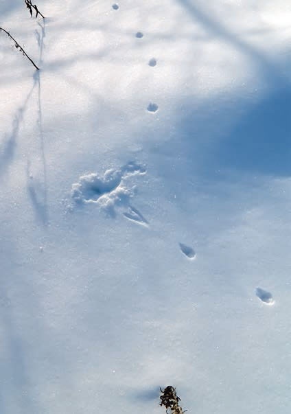 Иллюстрация к книге — В глуши таёжной (сборник) [i_116.jpg]