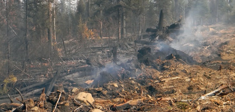 Иллюстрация к книге — В глуши таёжной (сборник) [i_134.jpg]