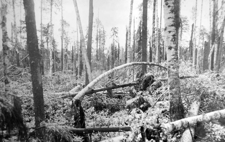 Иллюстрация к книге — В глуши таёжной (сборник) [i_151.jpg]