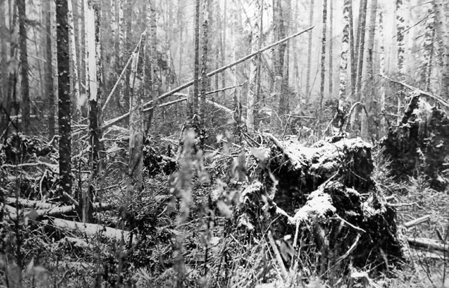 Иллюстрация к книге — В глуши таёжной (сборник) [i_152.jpg]