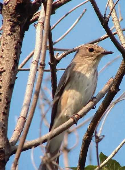 Иллюстрация к книге — В глуши таёжной (сборник) [i_153.jpg]