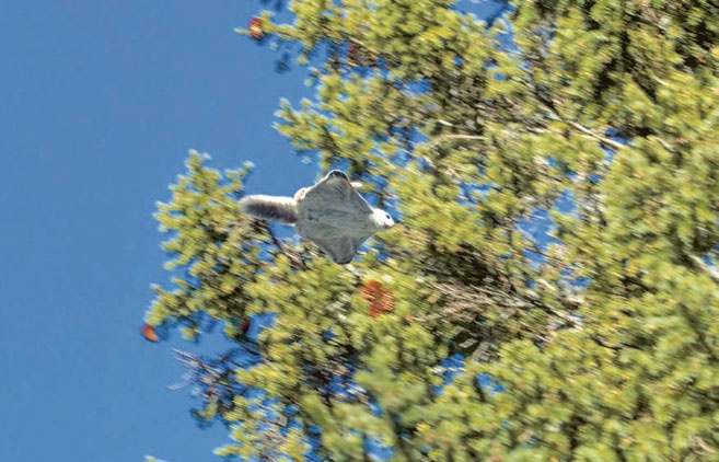 Иллюстрация к книге — В глуши таёжной (сборник) [i_161.jpg]