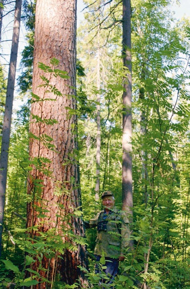 Иллюстрация к книге — В глуши таёжной (сборник) [i_169.jpg]