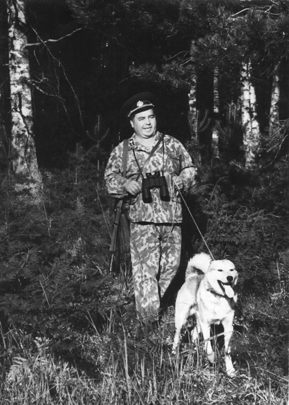 Иллюстрация к книге — Солнце над лесом (сборник) [i_001.jpg]