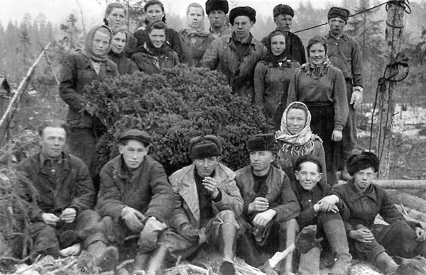 Иллюстрация к книге — Солнце над лесом (сборник) [i_006.jpg]