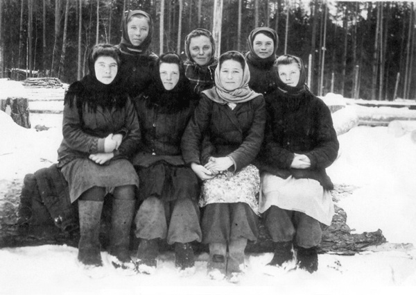 Иллюстрация к книге — Солнце над лесом (сборник) [i_021.jpg]