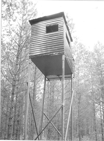 Иллюстрация к книге — Седьмого не стрелять (сборник) [i_003.jpg]