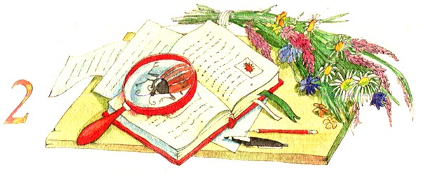 Иллюстрация к книге — Тайна жемчужной бухты [i_004.jpg]