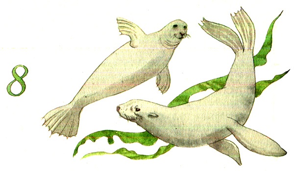 Иллюстрация к книге — Тайна жемчужной бухты [i_013.jpg]