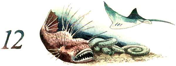 Иллюстрация к книге — Тайна жемчужной бухты [i_020.jpg]