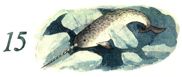 Иллюстрация к книге — Тайна жемчужной бухты [i_024.jpg]