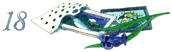 Иллюстрация к книге — Тайна жемчужной бухты [i_028.jpg]