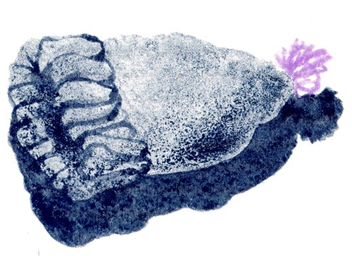 Иллюстрация к книге — Три четверти [i_025.jpg]