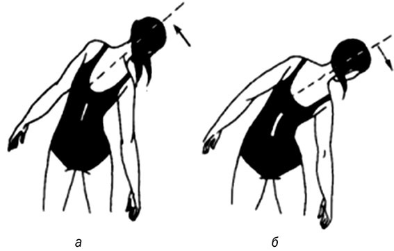 Иллюстрация к книге — Здоровый позвоночник [i_017.jpg]