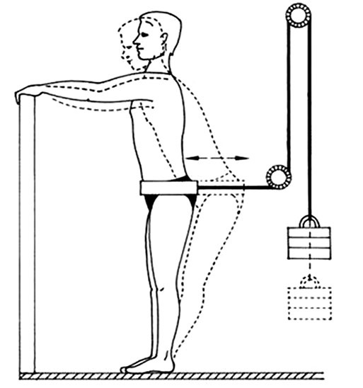 Иллюстрация к книге — Здоровый позвоночник [i_026.jpg]