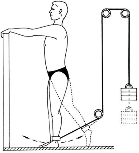 Иллюстрация к книге — Здоровый позвоночник [i_027.jpg]