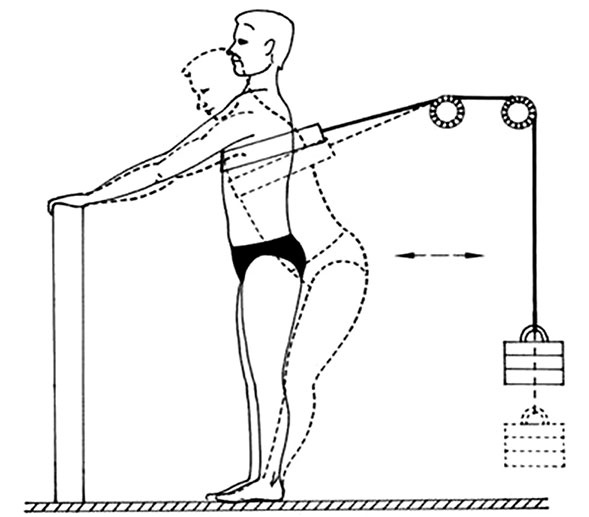 Иллюстрация к книге — Здоровый позвоночник [i_030.jpg]