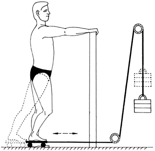 Иллюстрация к книге — Здоровый позвоночник [i_031.jpg]